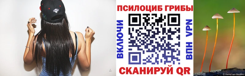 Купить  Жуковка  Псилоцибиновые грибы мухоморы 